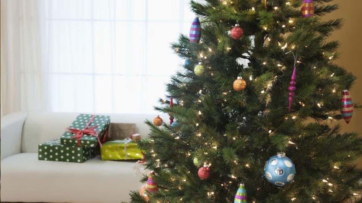 They bring bad luck, the 4 things you should never buy to decorate your house for Christmas